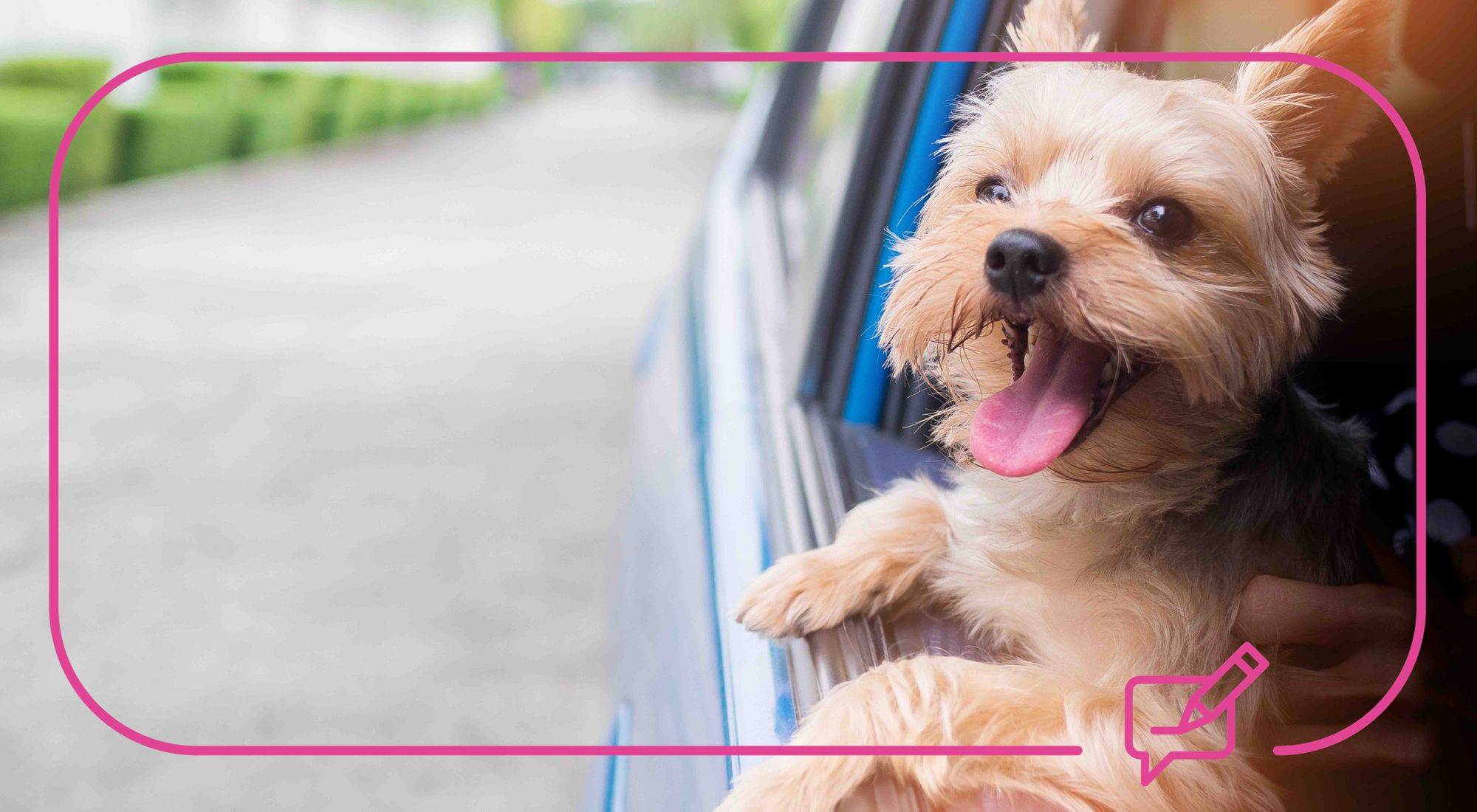 Best cars for Dog Owners