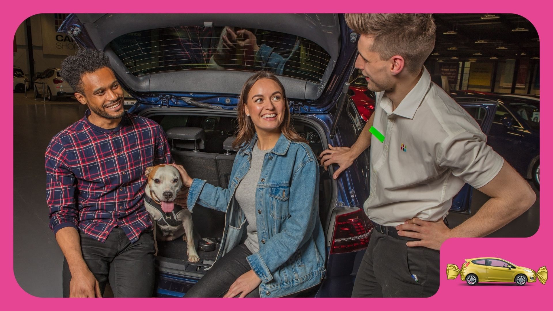 Best Car for Dog Owners