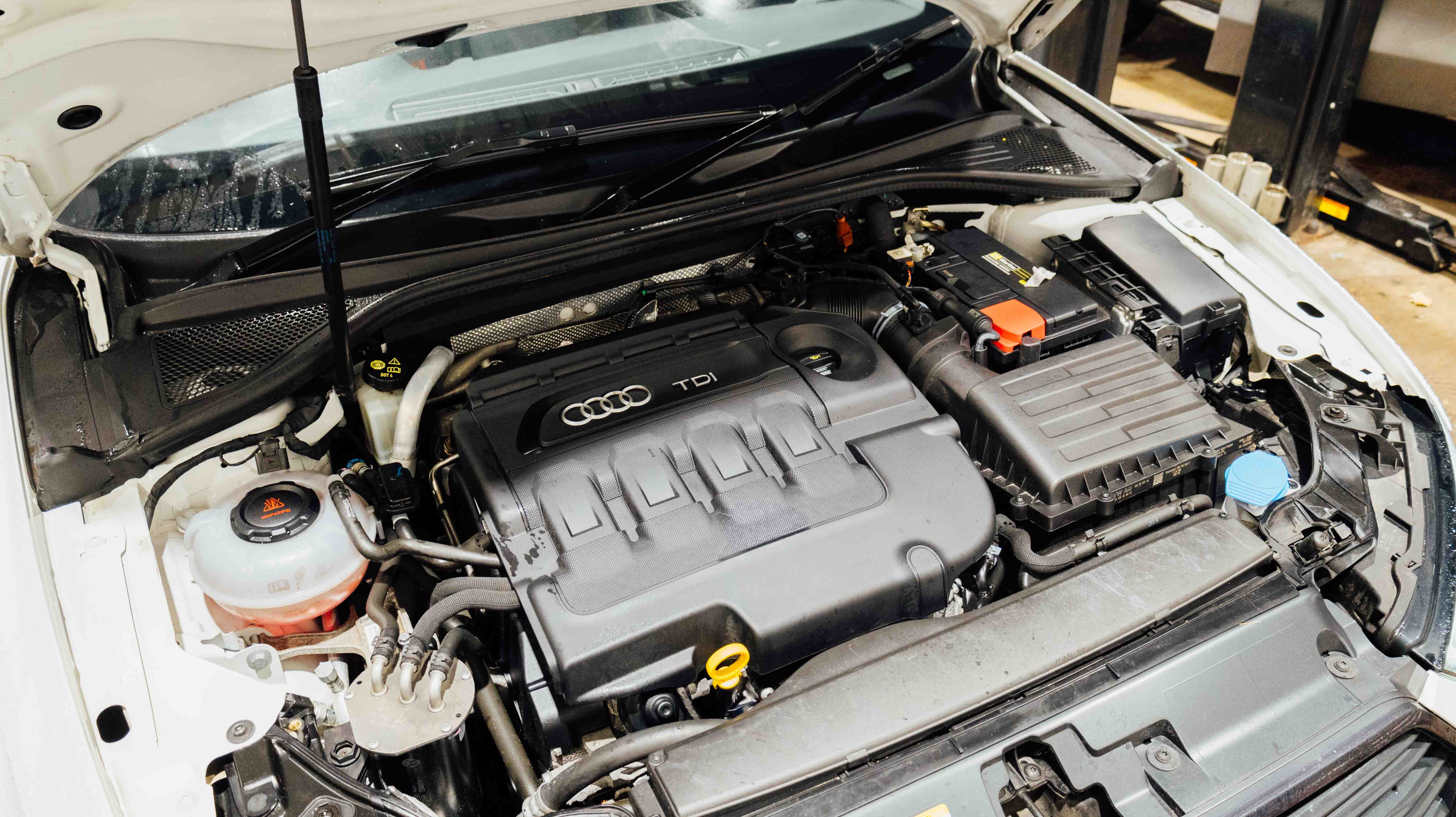 Oil Leak Disaster: My Audi A3 8P Needs Help - j63ias6